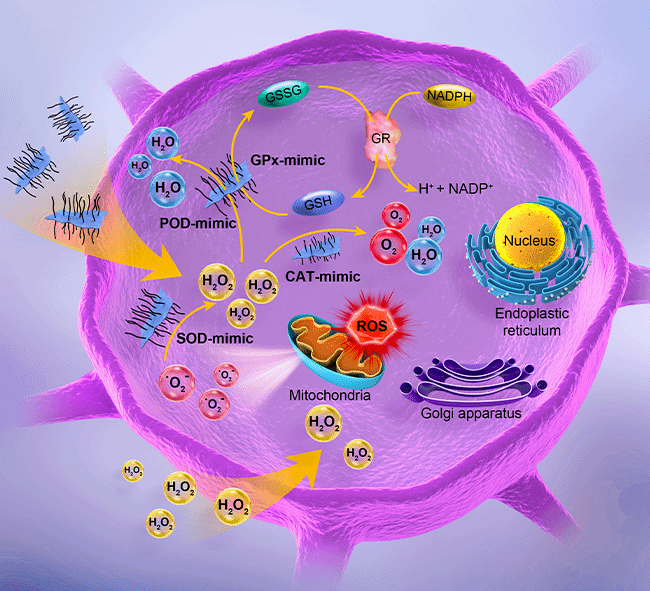 E2E8472B2825BCC40E1FA420DD4_2272688E_2B7CE