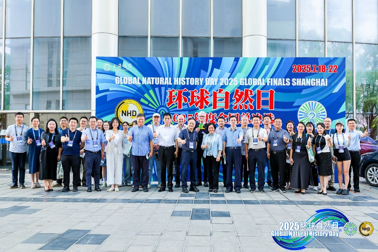 8526ED44306E33A6D0731FC6C0A_BB02CDDF_42E3A