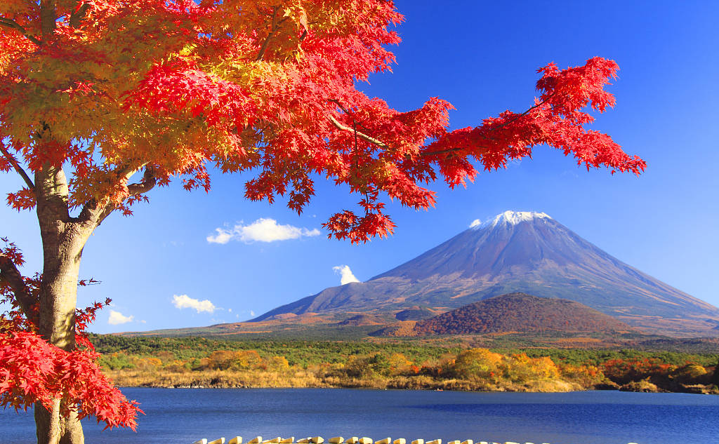 UU国际(中国区) - 官方网站