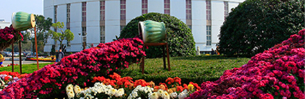 UU国际(中国区) - 官方网站