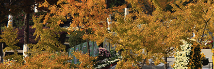 UU国际(中国区) - 官方网站